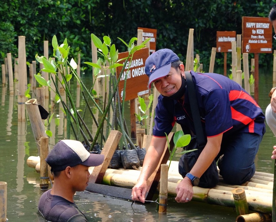 Program Penanaman Pohon Mangrove