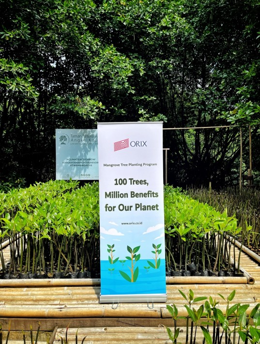 Program Lanjutan Penanaman Pohon Mangrove