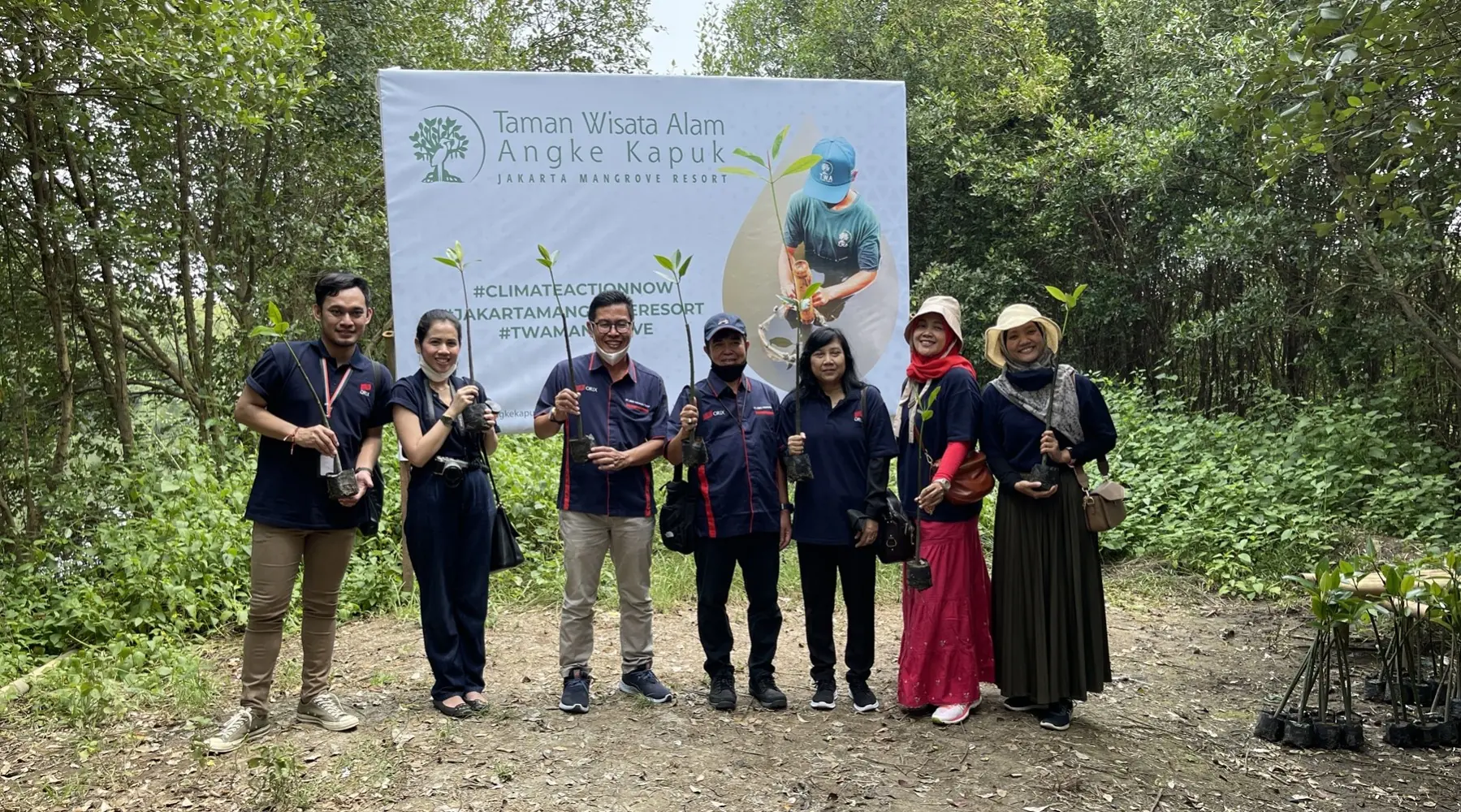 Program Penanaman Pohon Mangrove